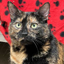 Thumbnail photo of Mary #3