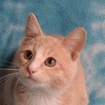 Thumbnail photo of Vash #1