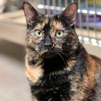 Thumbnail photo of Mary #4