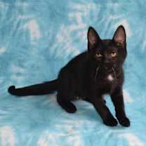 Thumbnail photo of River #2