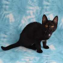 Thumbnail photo of River #3