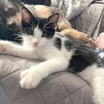 Thumbnail photo of Clawdia #2