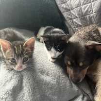 Thumbnail photo of Clawdia #3