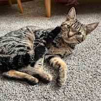 Thumbnail photo of Jerome #1