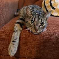 Thumbnail photo of Jerome #2