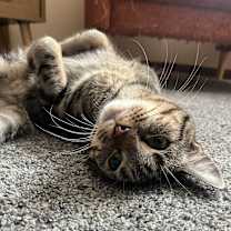 Thumbnail photo of Jerome #4