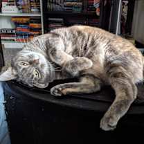 Thumbnail photo of Stardust #3