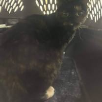 Thumbnail photo of Karen #2