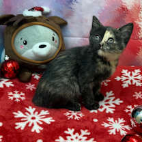 Thumbnail photo of Dorothy #2