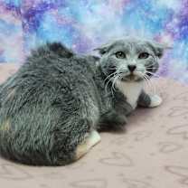 Thumbnail photo of May Hoo #2