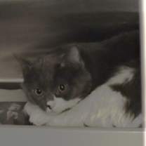 Thumbnail photo of 7 #2