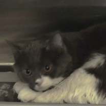 Thumbnail photo of 7 #3