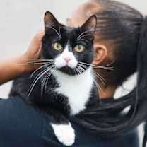 Thumbnail photo of Muffin Man #2