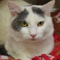 Thumbnail photo of Eldan 61030 #2