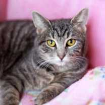 Thumbnail photo of Nadine #1