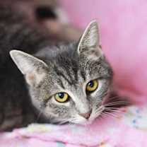 Thumbnail photo of Nadine #2