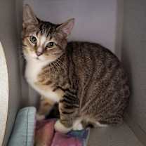 Thumbnail photo of Splash #1