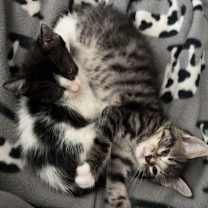 Thumbnail photo of Libby #1