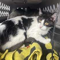 Thumbnail photo of Libby #2