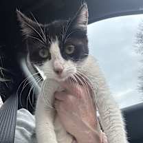 Thumbnail photo of Libby #3