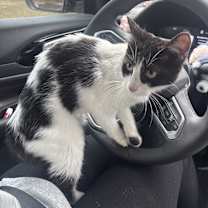 Thumbnail photo of Libby #4