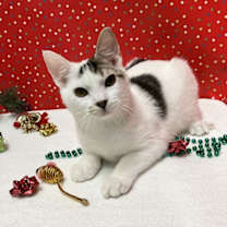 Thumbnail photo of Mayzone #1