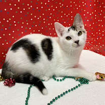 Thumbnail photo of Mayzone #3