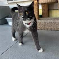 Thumbnail photo of Sam  #1