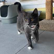 Thumbnail photo of Sam  #2