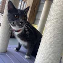 Thumbnail photo of Sam  #3