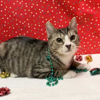 Thumbnail photo of Marlo #2