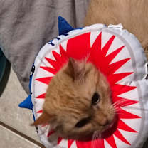 Thumbnail photo of Yuji #1