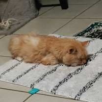 Thumbnail photo of Yuji #2