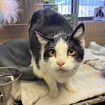 Thumbnail photo of Ellie #1