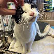 Thumbnail photo of Ellie #2