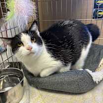 Thumbnail photo of Ellie #3