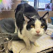 Thumbnail photo of Ellie #4