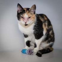 Thumbnail photo of Kat  #1