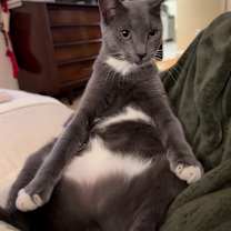 Thumbnail photo of Messiah #2