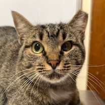 Thumbnail photo of Malibu #1