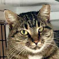 Thumbnail photo of Malibu #2