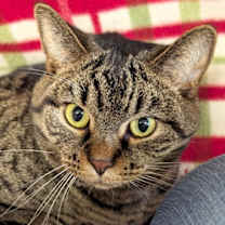 Thumbnail photo of Pete #1