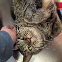 Thumbnail photo of Pete #2