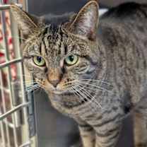 Thumbnail photo of Pete #4