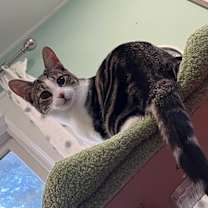 Thumbnail photo of Dilly #4