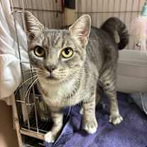 Thumbnail photo of Sissy #1