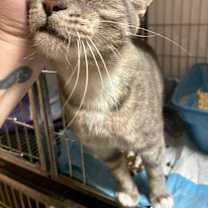 Thumbnail photo of Sissy #2