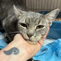 Thumbnail photo of Sissy #3