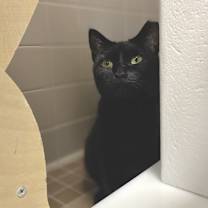 Thumbnail photo of Beauty #2