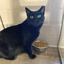 Thumbnail photo of Beauty #3